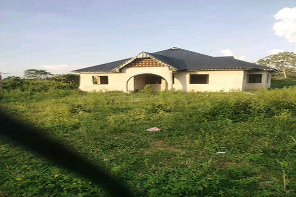 Estate view
